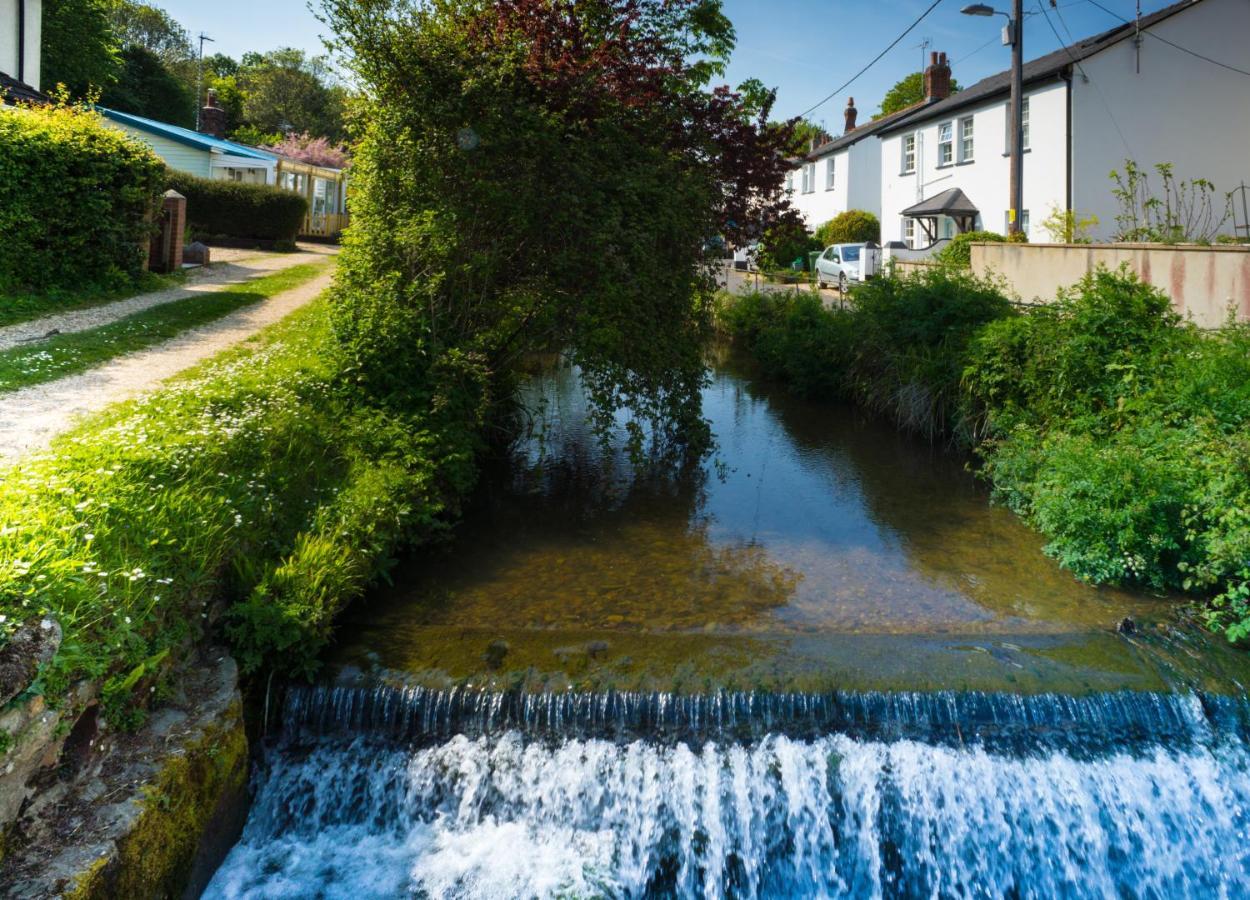 Homestead Lyme Regis Buitenkant foto